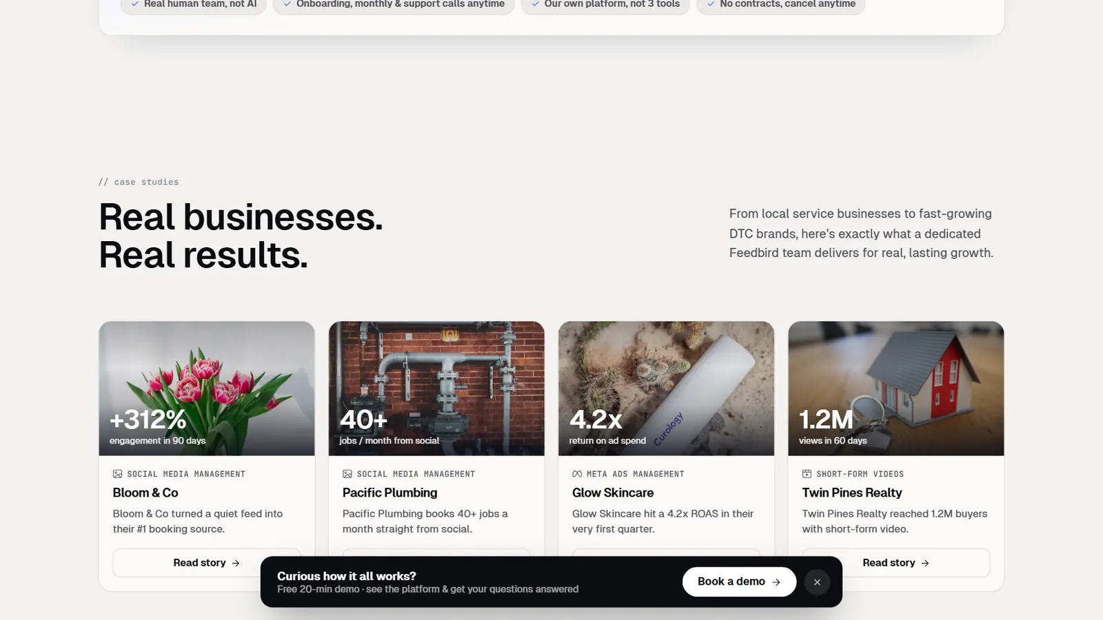 Feedbird – Client case studies