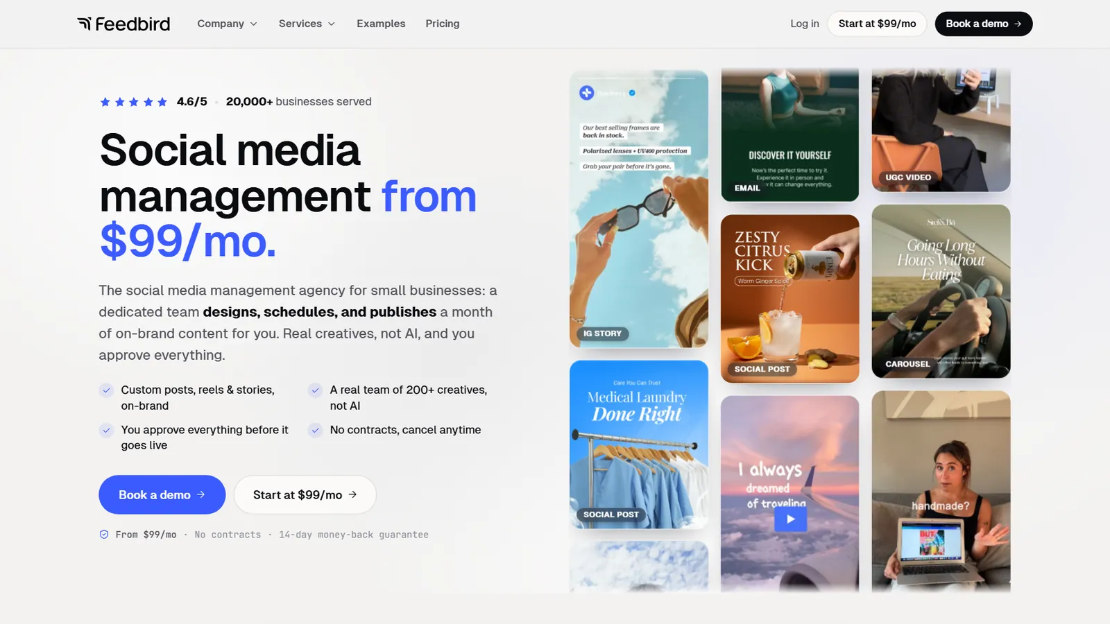 Feedbird website designed by Phixel Media